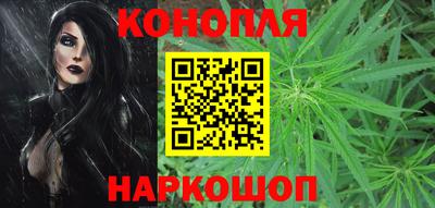 сатива Бузулук