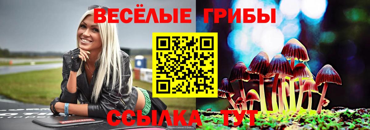 Псилоцибиновые грибы ЛСД Сафоново